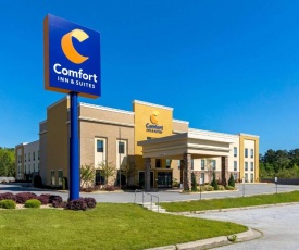 Comfort Inn & Suites Macon West