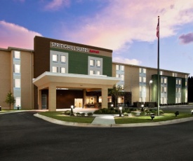 SpringHill Suites by Marriott Mobile West