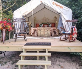 Texas Glamp Camp - near Renaissance Festival, Ren Fest, Bernhardt, Arrowhead Hill, Olde Dobbin Station, Ranch House, Farmhouse and other wedding venues, TAMU, Woodlands, Mitchell Woods Pavilion, Lake Conroe, College Station