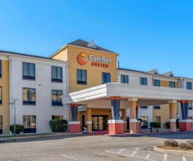 Comfort Suites Airport South