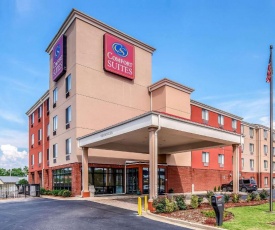 Comfort Suites Pelham Hoover I-65