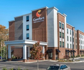 Comfort Inn & Suites Downtown near University