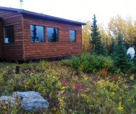 Denali Nightly House Rentals