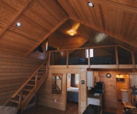 Denali Wild Stay - Bear Cabin with Hot Tub and Free Wifi