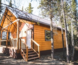 Denali Wild Stay - Redfox Cabin, Free Wifi