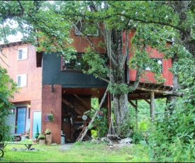 cottonwood cabins