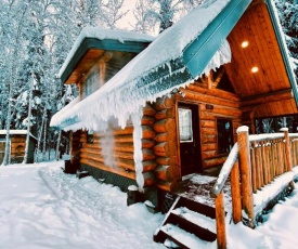 Rustic Northern Lights Log Cabin With Hot Tub