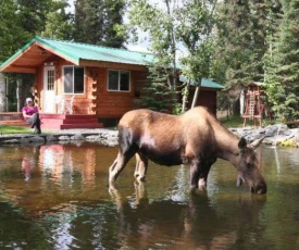 A Cabin by the Pond