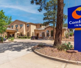 Comfort Inn Payson