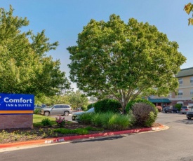 Comfort Inn & Suites Fayetteville-University Area