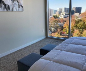 Cozy Luxury stay in Atlanta with Amazing views