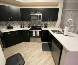 Entire 2 BR luxury apartment Buckhead/Brookhaven