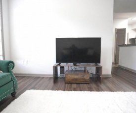 Furnished Two Bedroom Apartment Ideal Location in Atlanta