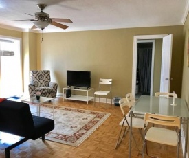 Simple Beauty Downtown Condo Sleeps 4 (14N)