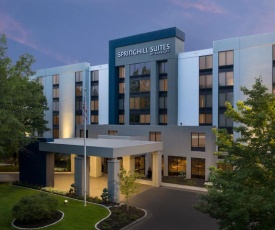 SpringHill Suites by Marriott Atlanta Perimeter Center