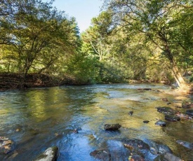 Creekside Reflections