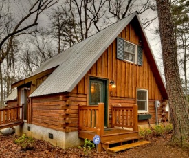 Triple Treat- Rustic Cabin near Blue Ridge