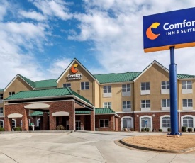 Comfort Inn & Suites Cartersville - Emerson Lake Point