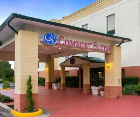 Comfort Suites Cumming